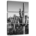 thumbnail image 1 of Elephant Stock Black Arizona - Cactus Sunrise Wall Art - Living Room Wall Decor - Floral And Botanical Multi Panel - Black And Gray Decor By Philippe Hugonnard - 42" x 65", 1 of 8