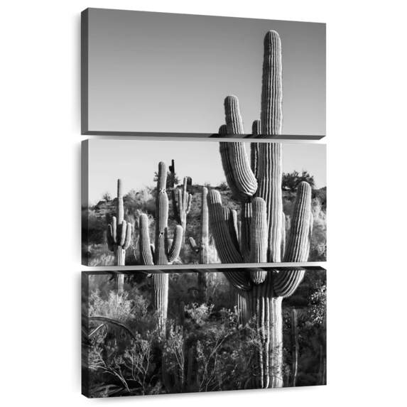 Elephant Stock Black Arizona - Cactus Sunrise Wall Art - Living Room Wall Decor - Floral And Botanical Multi Panel - Black And Gray Decor By Philippe Hugonnard - 42" x 65"