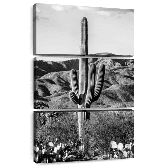Elephant Stock Black Arizona - Giant Cactus I Wall Art - Living Room Wall Decor - Floral And Botanical Multi Panel - Gray And Black Decor By Philippe Hugonnard - 20" x 32"
