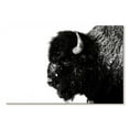 thumbnail image 1 of Elephant Stock Black Bison Wall Art - Horizontal Canvas Wall Art - Living Room Wall Decor - Animal Canvas - White And Black Decor - 48" x 32", 1 of 4