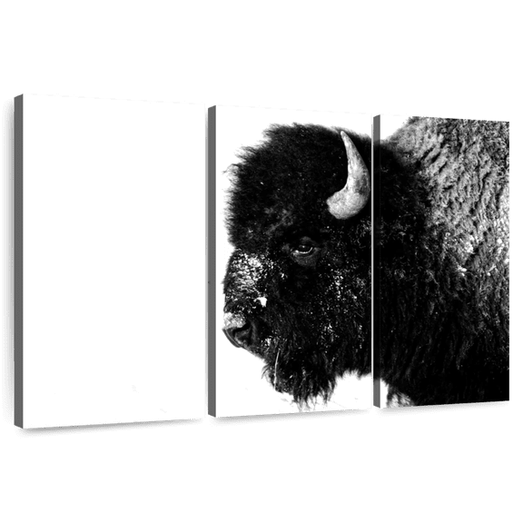 Elephant Stock Black Bison Wall Art - Horizontal Multi Panel Canvas - Living Room Wall Decor - Animal Multi Panel - White And Black Decor - 50" x 32"