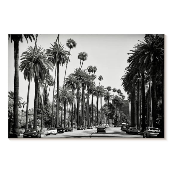 Elephant Stock Black California La Palm Alley Wall Art - Horizontal Canvas Wall Art - Living Room Wall Decor - City Canvas - Black And White Decor By Philippe Hugonnard - 12" x 8"