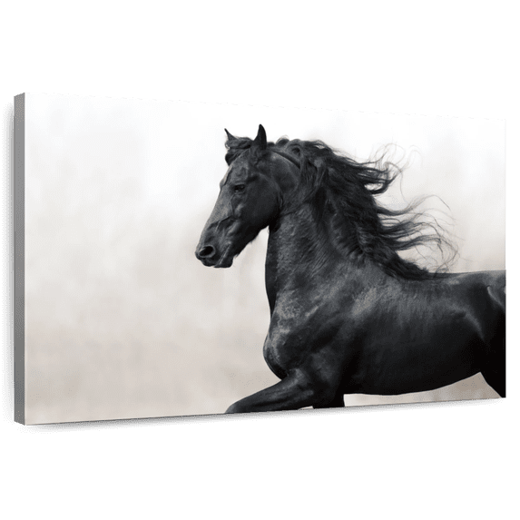 Elephant Stock Black Friesian Horse Wall Art - Horizontal Canvas Wall Art - Living Room Wall Decor - Animal Canvas - Gray And Black Decor - 45" x 30"