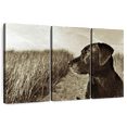 thumbnail image 1 of Elephant Stock Black Lab At The Beach Wall Art - Horizontal Multi Panel Canvas - Living Room Wall Decor - Animal Multi Panel - Black And Brown Decor By Jim Dratfield - 65" x 42", 1 of 8