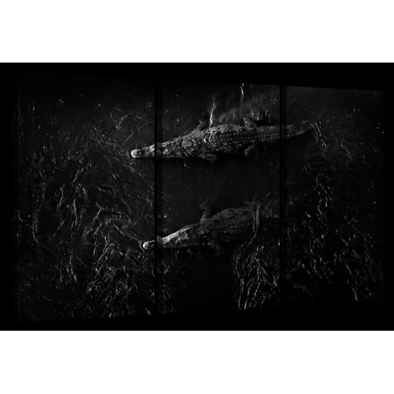 Elephant Stock Black Lake Crocodiles Wall Art - Horizontal Multi Panel Canvas - 3 Piecedining Room Wall Decor - Photography Animal Multi Panel - Black And Gray Decor - 33" x 20"