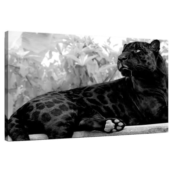 Elephant Stock Black Panther Monochrome Wall Art - Horizontal Canvas Wall Art - Living Room Wall Decor - Animal Canvas - Black And Gray Decor - 24" x 16"