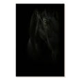 thumbnail image 1 of Elephant Stock Black Pearl Wall Art - Vertical Canvas Wall Art - Living Room Wall Decor - Animal Canvas - Black And Gray Decor By Photoinc Studio - 16" x 24", 1 of 4