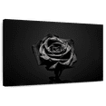 thumbnail image 1 of Elephant Stock Black Rose Wall Art - Horizontal Canvas Wall Art - Living Room Wall Decor - Floral And Botanical Canvas - Black And Gray Decor - 36" x 24", 1 of 8