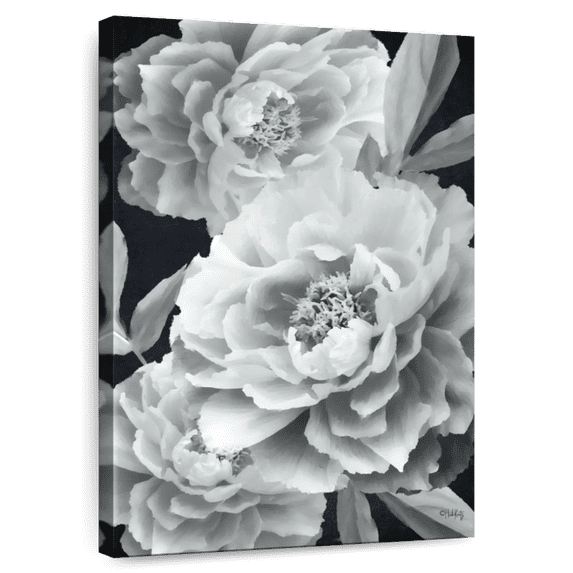 Elephant Stock Black And White Peonies Wall Art - Vertical Canvas Wall Art - Living Room Wall Decor - Floral And Botanical Canvas - Gray And Black Decor By Heidi Kuntz - 32" x 48"