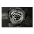 thumbnail image 1 of Elephant Stock Black White Rose Wall Art - Horizontal Canvas Wall Art - Living Room Wall Decor - Floral And Botanical Canvas - Black And Gray Decor - 12" x 8", 1 of 4