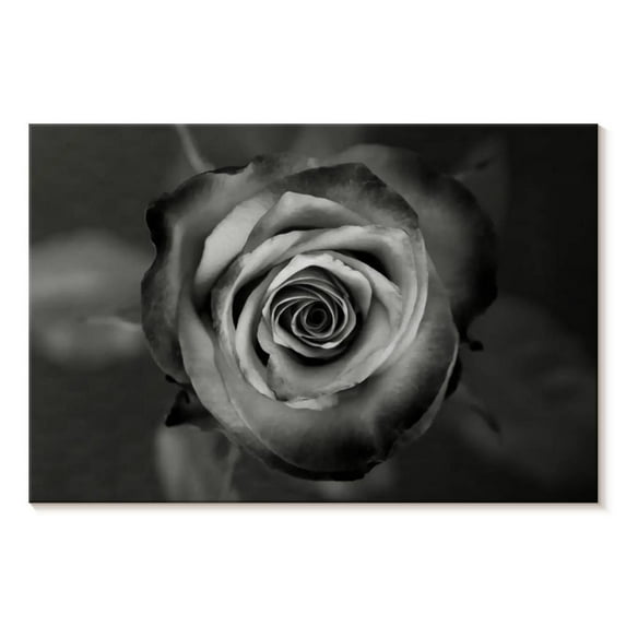 Elephant Stock Black White Rose Wall Art - Horizontal Canvas Wall Art - Living Room Wall Decor - Floral And Botanical Canvas - Black And Gray Decor - 12" x 8"