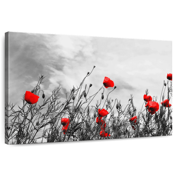 Elephant Stock Blooming Red Poppies Pop Wall Art - Horizontal Canvas Wall Art - Living Room Wall Decor - Floral And Botanical Canvas - Red And Gray Decor - 51" x 34"