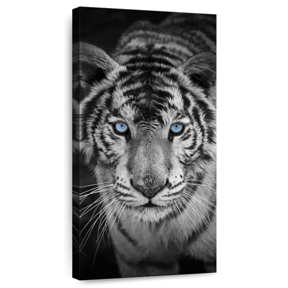 Elephant Stock Blue Eye Tiger Wall Art - Animal Canvas Canvas - 30" x 60"