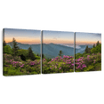thumbnail image 1 of Elephant Stock Blue Ridge Mountains View Wall Art - Horizontal Multi Panel Canvas - Living Room Wall Decor - Nature Multi Panel - Green And Blue Decor - 26" x 12", 1 of 8