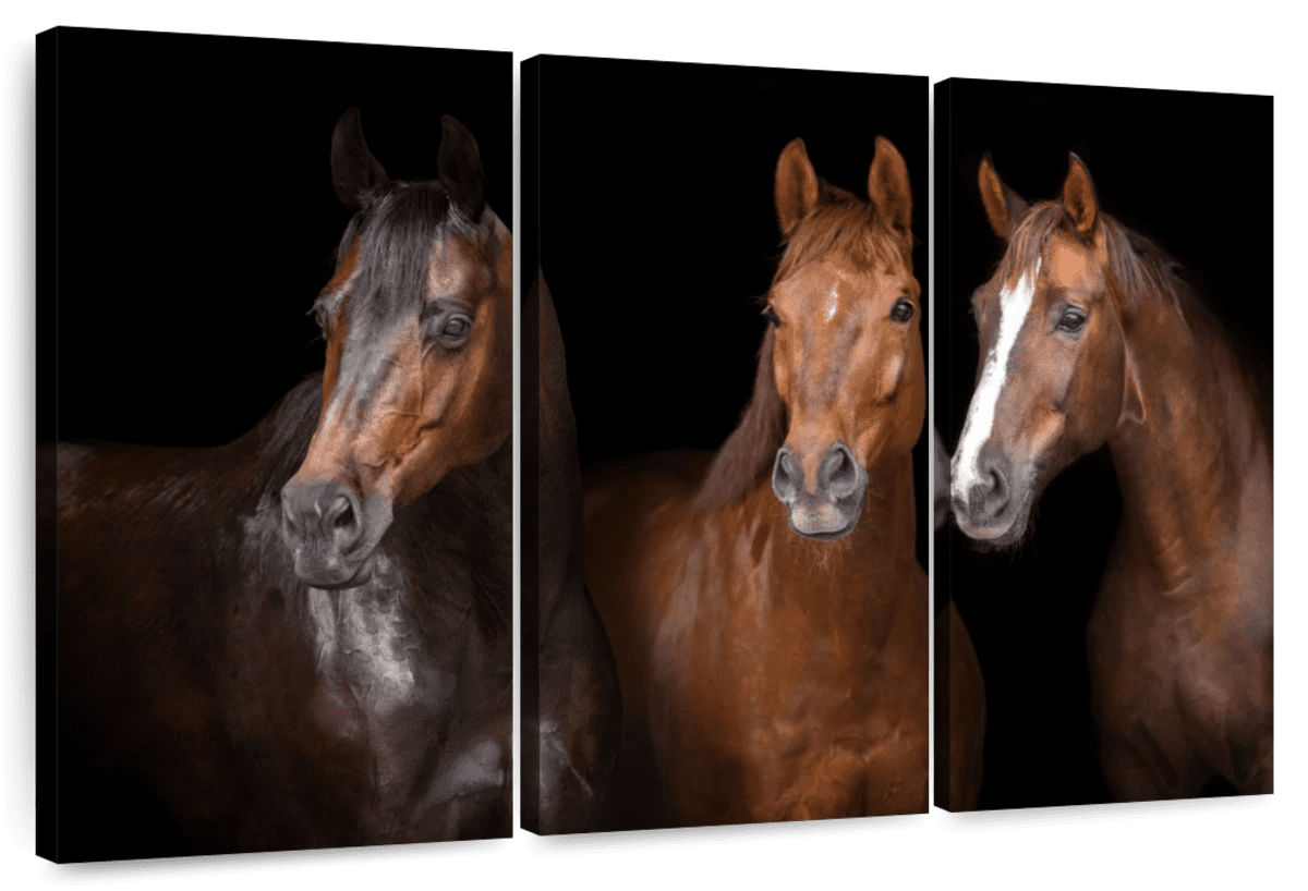 Elephant Stock Brown Stallion Horses Wall Art Horizontal Multi Panel