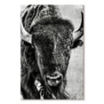 thumbnail image 1 of Elephant Stock Buffalo Portrait Wall Art - Vertical Canvas Wall Art - Living Room Wall Decor - Animal Canvas - White And Gray Decor By Phburchett - 8" x 12", 1 of 4