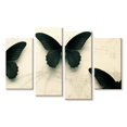 thumbnail image 1 of Elephant Stock Butterfly Beauties Wall Art - Horizontal Multi Panel Canvas - Living Room Wall Decor - Animal Multi Panel - Black And Gray Decor - 24" x 14", 1 of 4