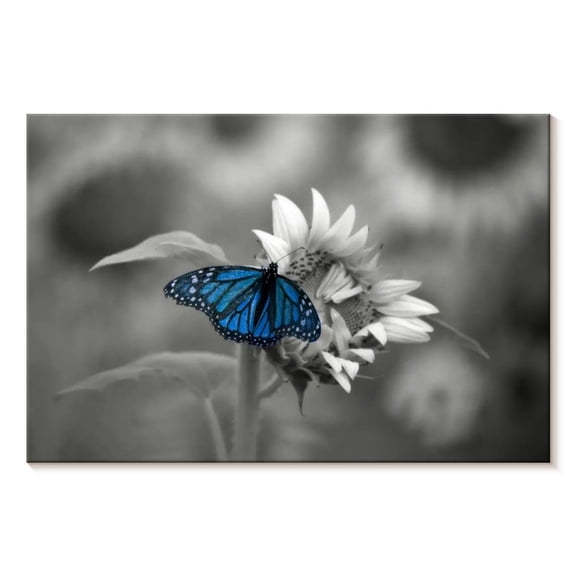 Elephant Stock Butterfly Pop Wall Art - Horizontal Canvas Wall Art - Living Room Wall Decor - Animal Canvas - Gray And Blue Decor - 12" x 8"