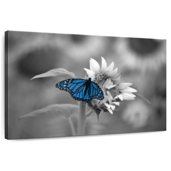 Elephant Stock Butterfly Pop Wall Art - Horizontal Canvas Wall Art - Living Room Wall Decor - Animal Canvas - Gray And Blue Decor - 12" x 8"