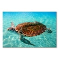 thumbnail image 1 of Elephant Stock Cancun Beach Turtle Wall Art - Horizontal Canvas Wall Art - Living Room Wall Decor - Animal Canvas - Turquoise And Blue Decor - 51" x 34", 1 of 4