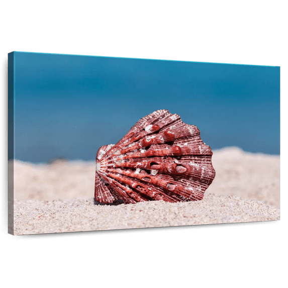 Elephant Stock Cancun Seashell Wall Art - Horizontal Canvas Wall Art - Living Room Wall Decor - Nautical Canvas - Blue And Beige Decor - 48" x 32"