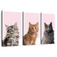 thumbnail image 1 of Elephant Stock Cat Breed Colors Wall Art - Horizontal Multi Panel Canvas - Lobby Wall Decor - Animal Multi Panel - Gray And White Decor - 38" x 24", 1 of 8