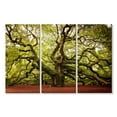 thumbnail image 1 of Elephant Stock Charleston Angel Oak Tree Wall Art - Horizontal Multi Panel Canvas - Living Room Wall Decor - Floral And Botanical Multi Panel - Green And Red Decor - 65" x 42", 1 of 4