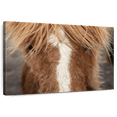 thumbnail image 1 of Elephant Stock Close Up Of An Icelandic Horse Wall Art - Horizontal Canvas Wall Art - Living Room Wall Decor - Animal Canvas - Brown And Gray Decor By Scott Stulberg - 39" x 26", 1 of 8
