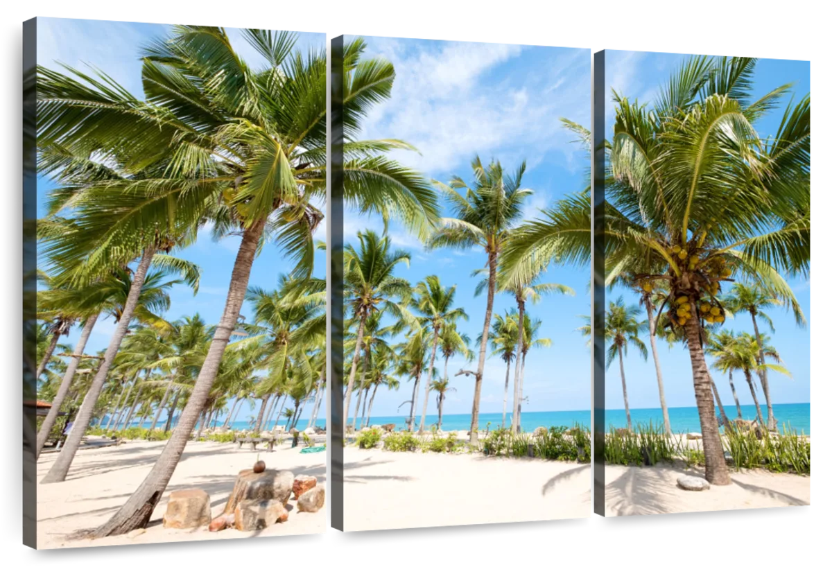Elephant Stock Coconut Palm Beach Wall Art - Horizontal Multi Panel ...