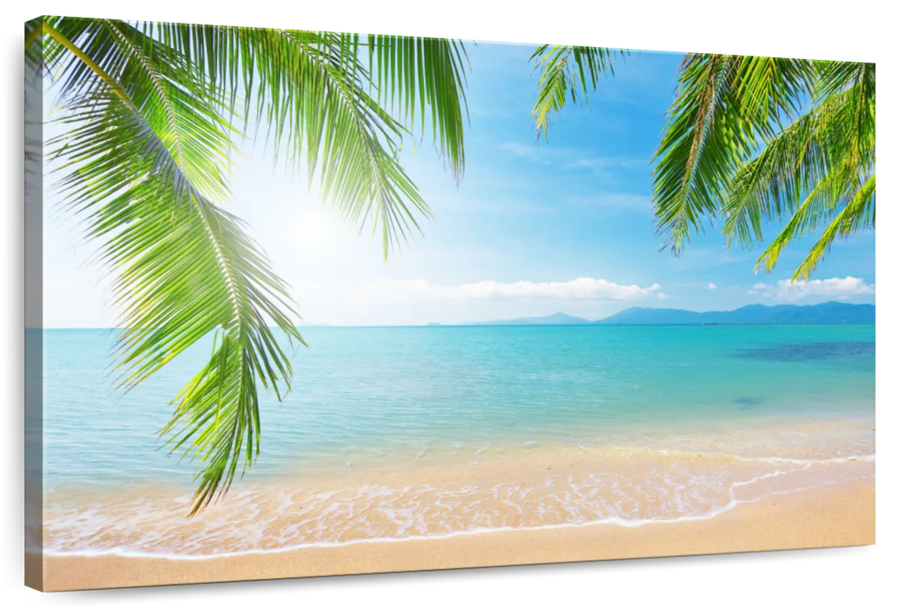 Elephant Stock Coconut Palms And Beach Wall Art - Horizontal Canvas ...