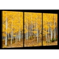 thumbnail image 1 of Elephant Stock Colorado Aspen Forest Wall Art - Horizontal Multi Panel Canvas - 3 Pieceliving Room Wall Decor - Photography Nature Multi Panel - Orange And Brown Decor - 23" x 14", 1 of 4