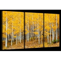 Elephant Stock Colorado Aspen Forest Wall Art - Horizontal Multi Panel Canvas - 3 Pieceliving Room Wall Decor - Photography Nature Multi Panel - Orange And Brown Decor - 23" x 14"