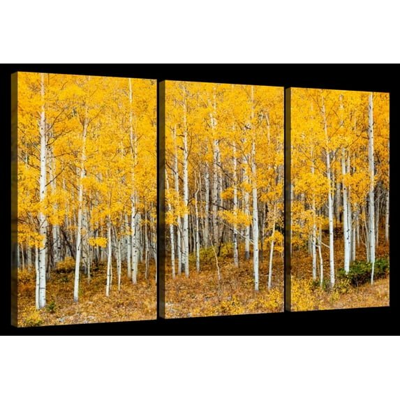 Elephant Stock Colorado Aspen Forest Wall Art - Horizontal Multi Panel Canvas - 3 Pieceliving Room Wall Decor - Photography Nature Multi Panel - Orange And Brown Decor - 23" x 14"