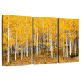 thumbnail image 1 of Elephant Stock Colorado Aspen Forest Wall Art - Horizontal Multi Panel Canvas - 3 Pieceliving Room Wall Decor - Photography Nature Multi Panel - Orange And Brown Decor - 50" x 32", 1 of 8