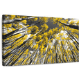 thumbnail image 1 of Elephant Stock Colorado Aspen Trees Wall Art - Horizontal Canvas Wall Art - Living Room Wall Decor - Floral And Botanical Canvas - Black And Gray Decor - 48" x 32", 1 of 8