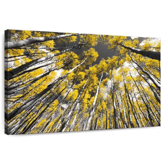 Elephant Stock Colorado Aspen Trees Wall Art - Horizontal Canvas Wall Art - Living Room Wall Decor - Floral And Botanical Canvas - Black And Gray Decor - 48" x 32"