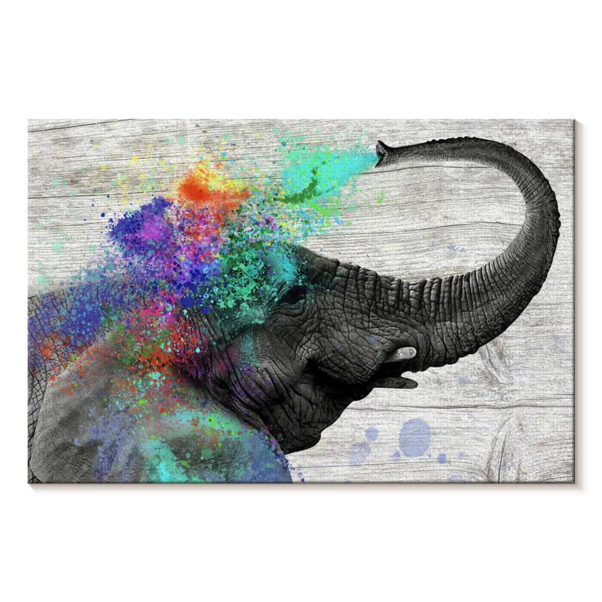 Elephant Stock Colorful Elephant Splash Wall Art - Horizontal Canvas ...