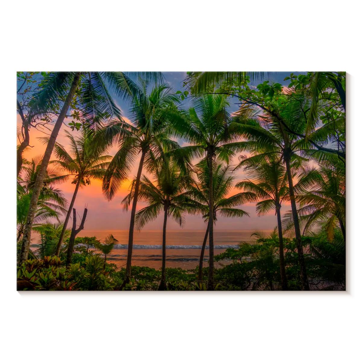 Elephant Stock Corcovado Sunset Beach Wall Art - Horizontal Canvas Wall ...