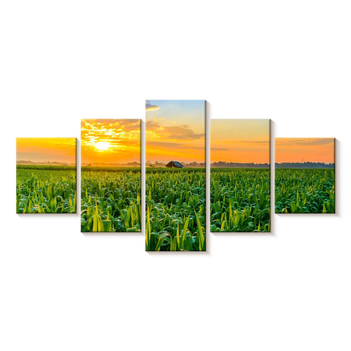 Elephant Stock Cornfield Sunset Scene Wall Art - Horizontal Multi Panel ...
