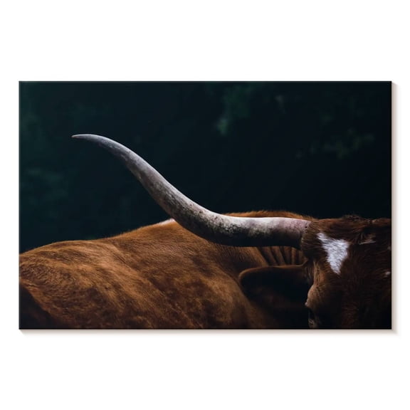 Elephant Stock Cow Texas Longhorn Wall Art - Horizontal Canvas Wall Art - Living Room Wall Decor - Animal Canvas - Black And Green Decor - 12" x 8"