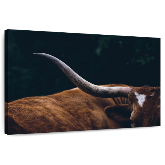 Elephant Stock Cow Texas Longhorn Wall Art - Horizontal Canvas Wall Art - Living Room Wall Decor - Animal Canvas - Black And Green Decor - 12" x 8"