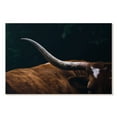 thumbnail image 1 of Elephant Stock Cow Texas Longhorn Wall Art - Horizontal Canvas Wall Art - Living Room Wall Decor - Animal Canvas - Black And Green Decor - 51" x 34", 1 of 4