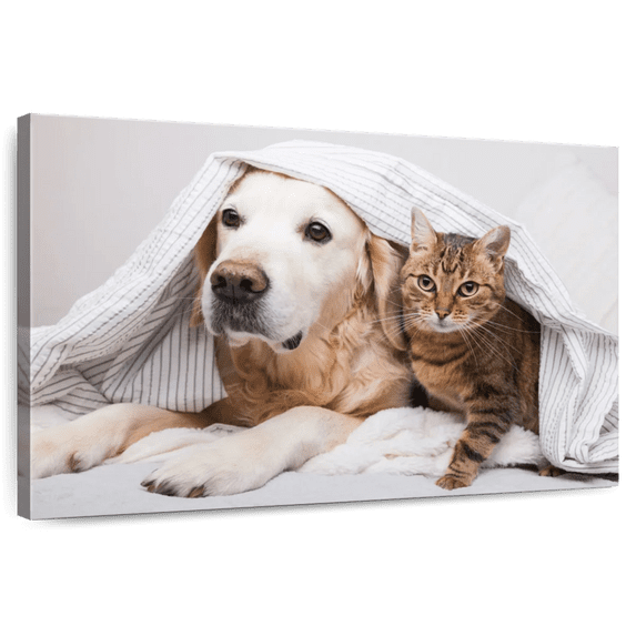 Elephant Stock Cozy Dog And Cat Wall Art - Horizontal Canvas Wall Art - Living Room Wall Decor - Animal Canvas - Gray And Beige Decor - 48" x 32"
