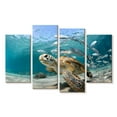 thumbnail image 1 of Elephant Stock Curacao Fish And Turtle Wall Art - Horizontal Multi Panel Canvas - Living Room Wall Decor - Animal Multi Panel - Teal And Blue Decor - 30" x 18", 1 of 4