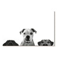 thumbnail image 1 of Elephant Stock Curious Dogs Wall Art - Horizontal Canvas Wall Art - Living Room Wall Decor - Animal Canvas - White And Gray Decor - 12" x 8", 1 of 4