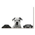 thumbnail image 1 of Elephant Stock Curious Dogs Wall Art - Horizontal Canvas Wall Art - Living Room Wall Decor - Animal Canvas - White And Gray Decor - 45" x 30", 1 of 4