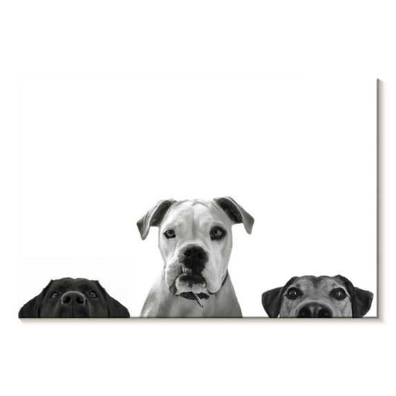 Elephant Stock Curious Dogs Wall Art - Horizontal Canvas Wall Art - Living Room Wall Decor - Animal Canvas - White And Gray Decor - 45" x 30"