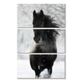 thumbnail image 1 of Elephant Stock Dark Friesian Horse Wall Art - Vertical Multi Panel Canvas - Living Room Wall Decor - Animal Multi Panel - White And Black Decor - 14" x 23", 1 of 4