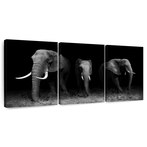 Elephant Stock Out Of The Darkness Wall Art - Horizontal Multi Panel Canvas - Living Room Wall Decor - Animal Multi Panel - Black And Gray Decor By Wildphotoart - 38" x 18"