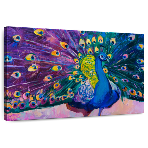 Elephant Stock Dazzling Peacock Wall Art - Horizontal Canvas Wall Art - Lobby Wall Decor - Animal Canvas - Pink And Teal Decor - 12" x 8"